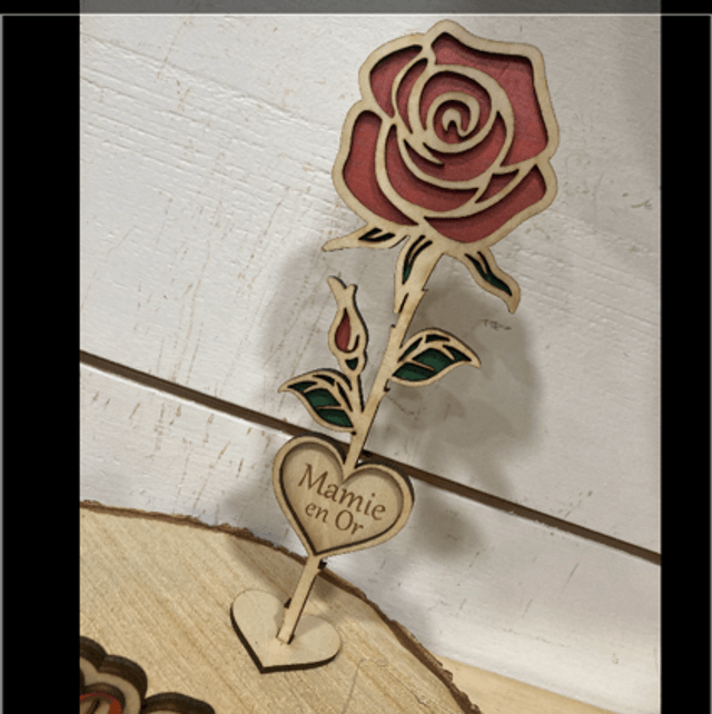 Rose sur pied 
