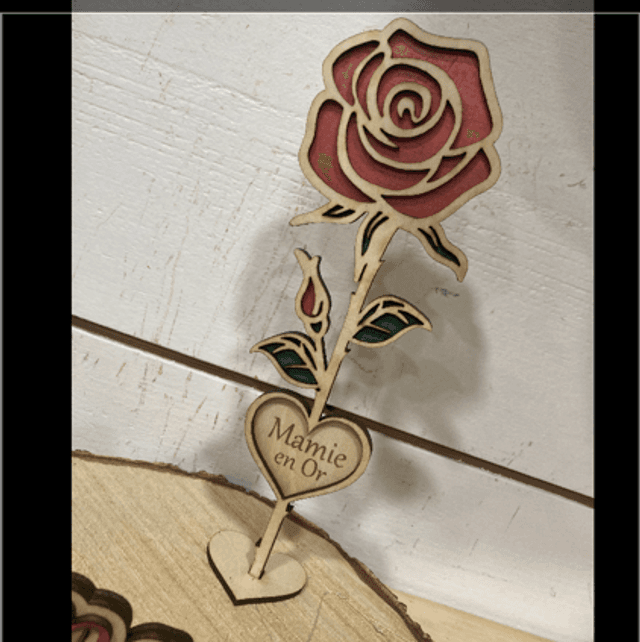 Rose sur pied 